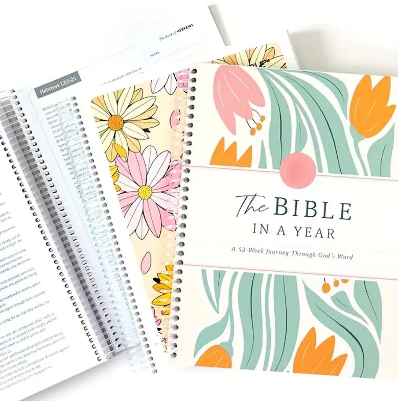 The Bible in a year