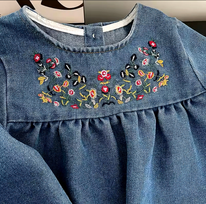 Denim embroidery dress